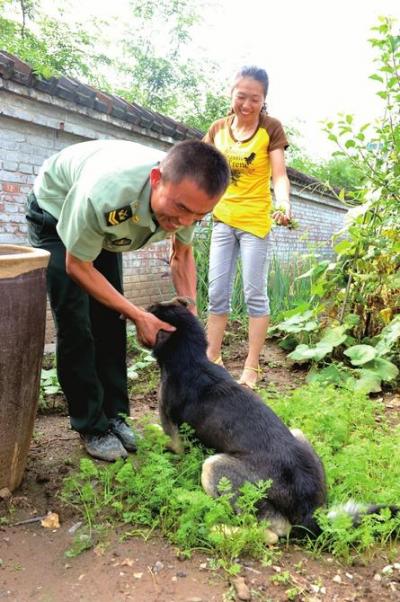 这条狼狗看守哨所快10年了，张新华一家把它当做自家人。