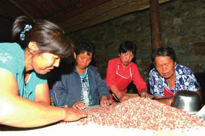 　　凌晨时分，灵水村的妇女们就聚集在一起，开始挑选熬粥用的豆子。