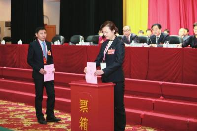 庄严投票