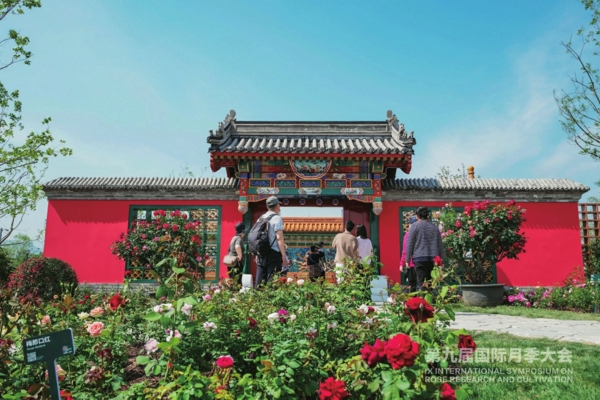 第九届国际月季大会上花团锦簇,欢迎八方来客