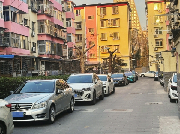 修剪后