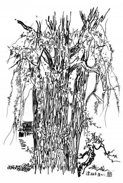 　　潭柘寺（镜框；设色纸本；76×51.5cm）